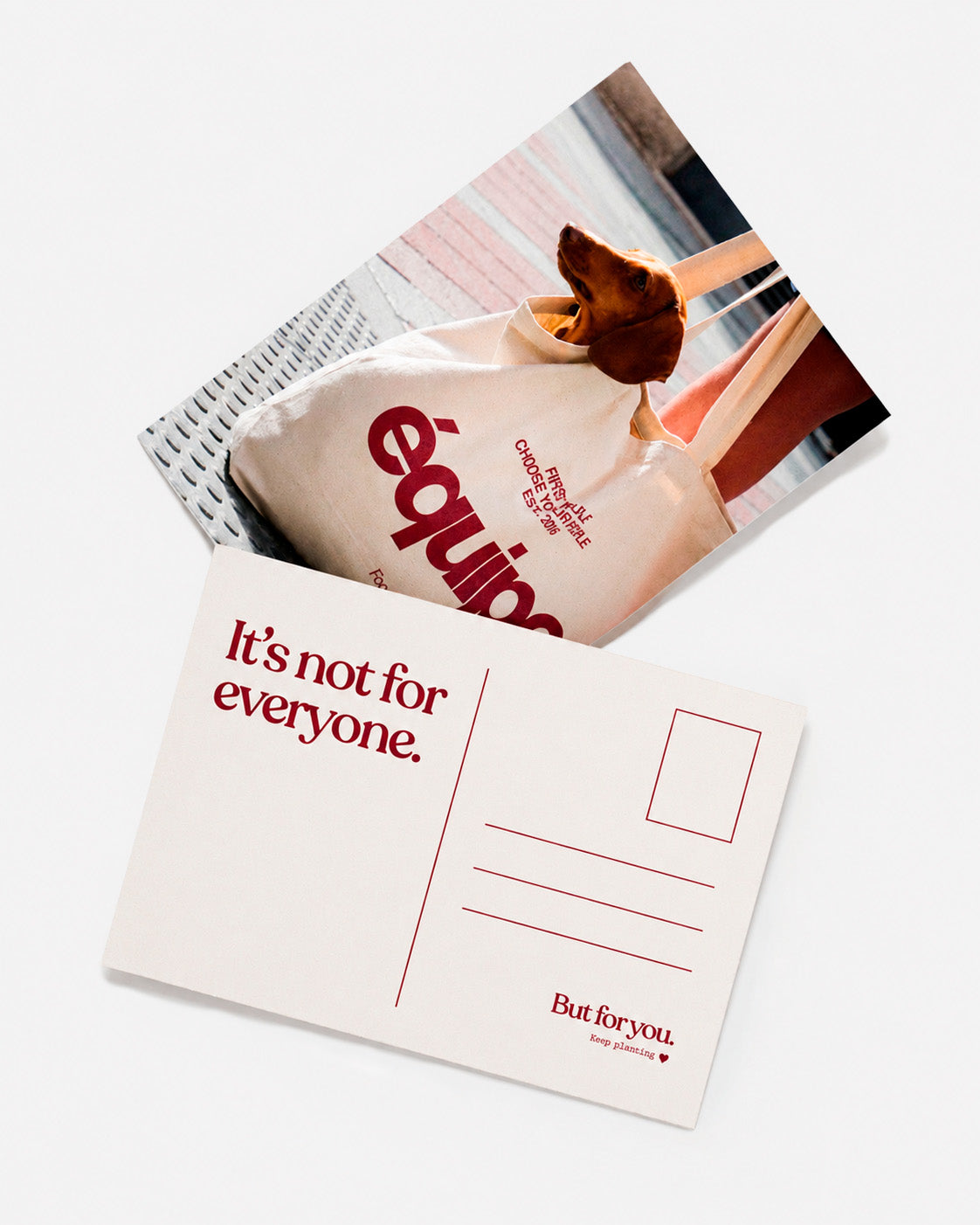 GIFT Postcard