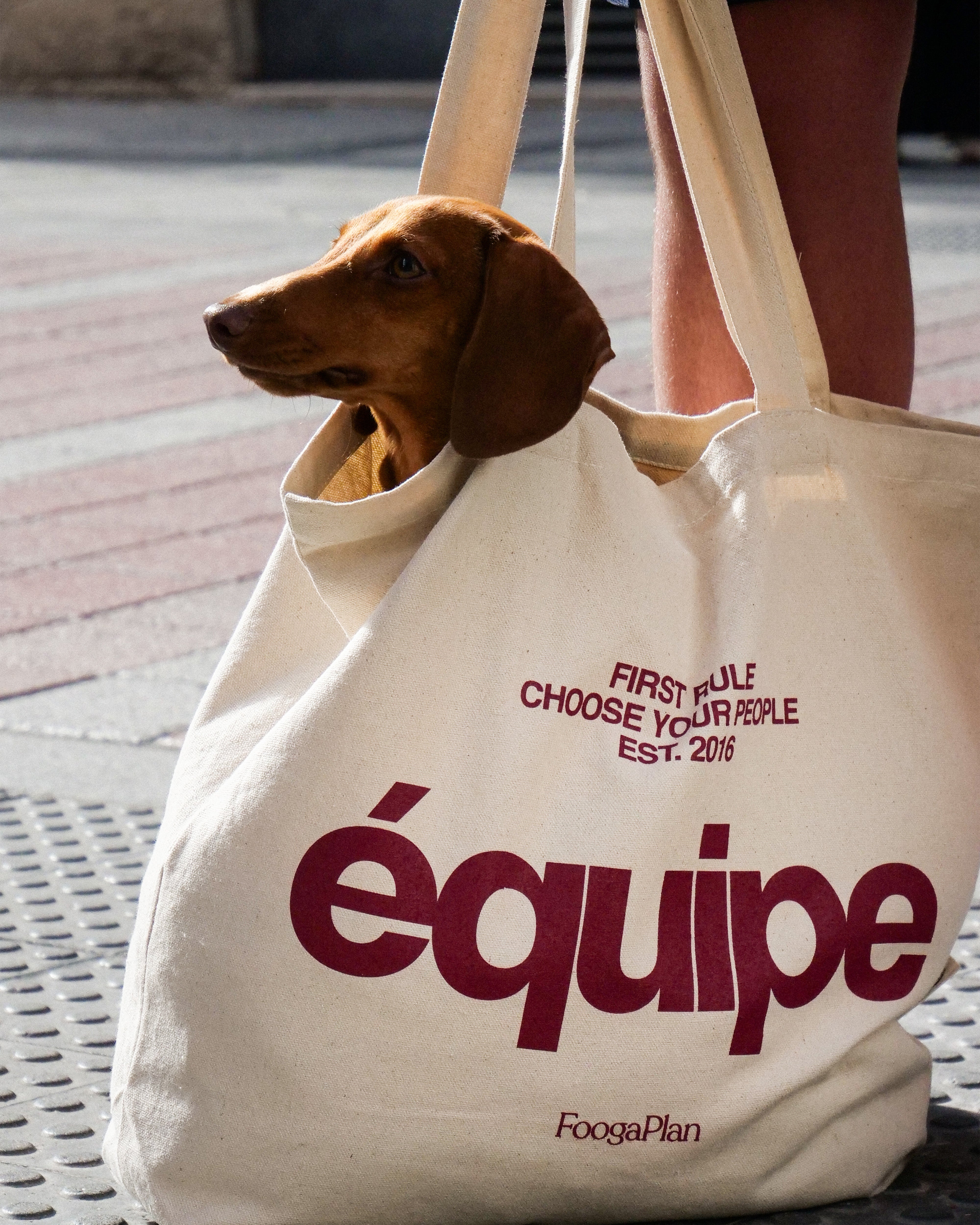 Tote Bag Équipe beige FoogaPlan - vista modelo suelo